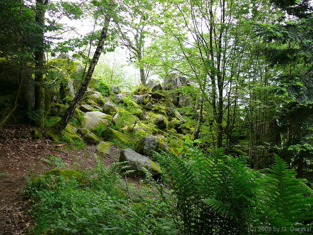 20080527-120632-69