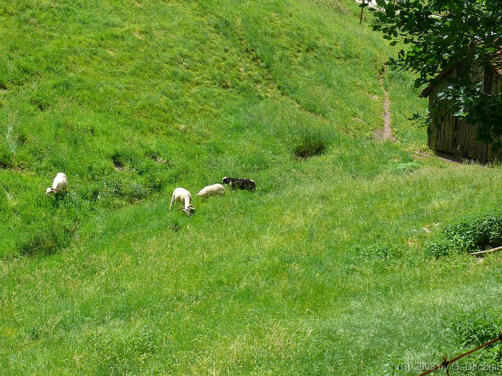 20080527-131949-108