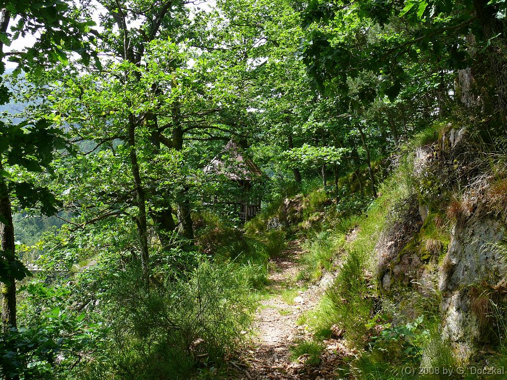 20080527-132912-116