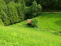  (C) 2008 by G. Doczkal, 
Wiese bei Langenbrand, 
Grundbächle bei Langenbrand, Baden-Württemberg, Germany