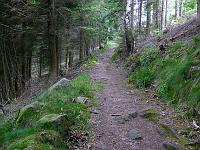  (C) 2008 by G. Doczkal, 
In Serpentinen bergab, 
Latschig bei Gausbach, Baden-Württemberg, Germany