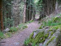  (C) 2008 by G. Doczkal, 
In Serpentinen bergab, 
Latschig bei Gausbach, Baden-Württemberg, Germany