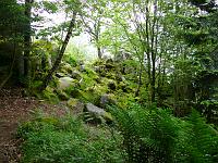 (C) 2008 by G. Doczkal, 
Felsen, 
Latschig bei Gausbach, Baden-Württemberg, Germany