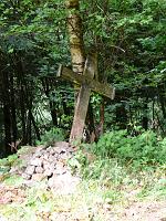  (C) 2008 by G. Doczkal, 
Wallfahrtskreuz V, 
Latschig bei Gausbach, Baden-Württemberg, Germany