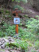  (C) 2008 by G. Doczkal, 
Wallfahrtskreuz IV, 
Latschig bei Gausbach, Baden-Württemberg, Germany