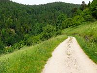  (C) 2008 by G. Doczkal, 
Immer der Nase nach, 
Ringberg bei Gausbach, Baden-Württemberg, Germany
