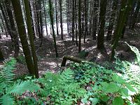  (C) 2008 by G. Doczkal, 
Blick ins Murgtal, 
Tennetberg bei Langenbrand, Baden-Württemberg, Germany