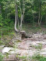  (C) 2008 by G. Doczkal, 
Steinbruch, 
Mönchskopf bei Michelbach, Baden-Württemberg, Germany