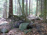  (C) 2008 by G. Doczkal, 
Alter Baumstumpf, 
Bernstein bei Sulzbach, Baden-Württemberg, Germany