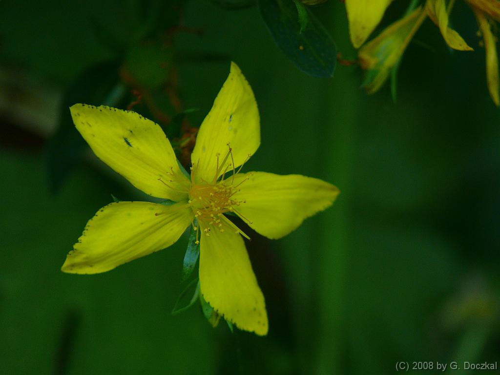 20080705-100547-21