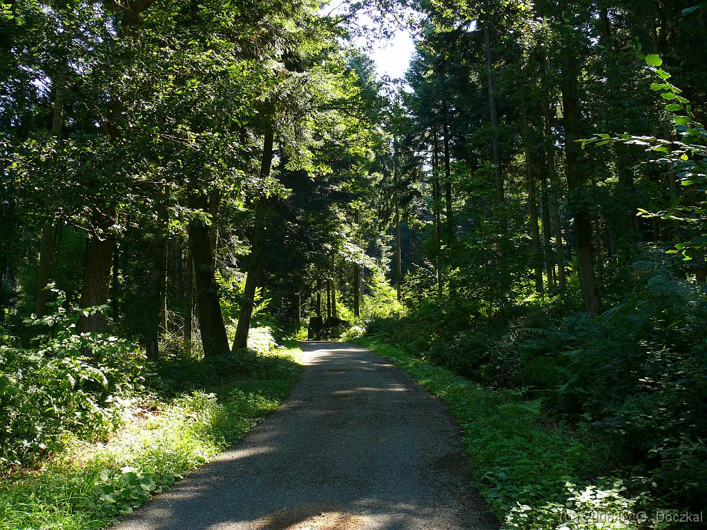 20080806-113642-5