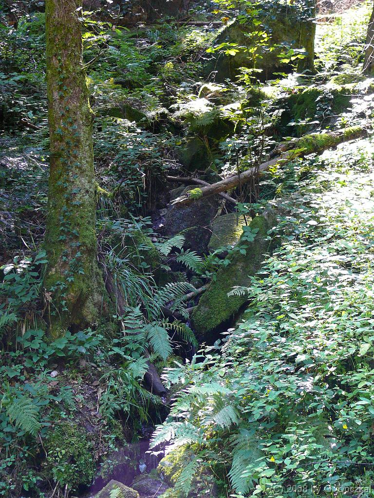 20080806-114450-16