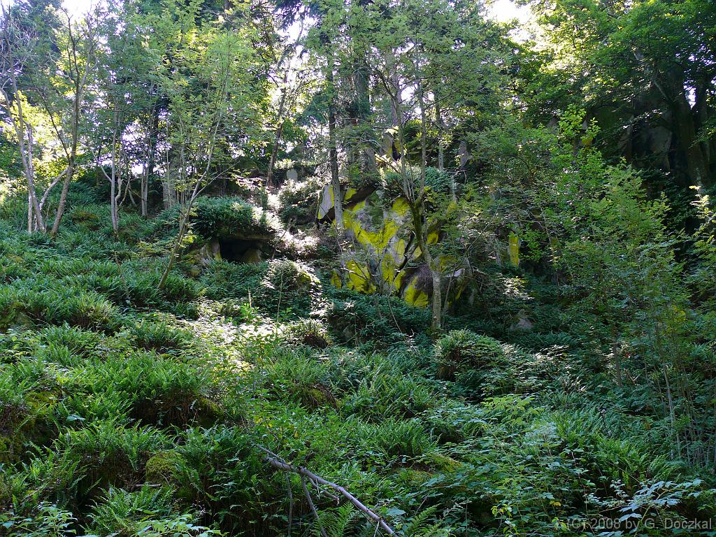 20080806-120255-47