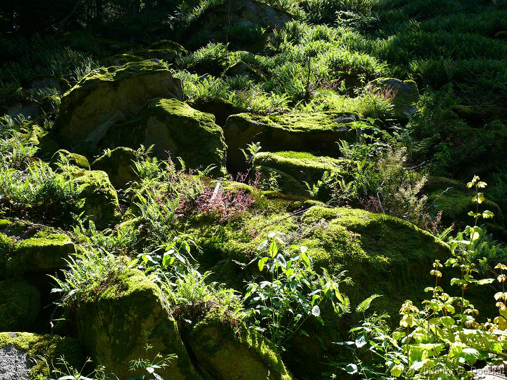 20080806-120318-48
