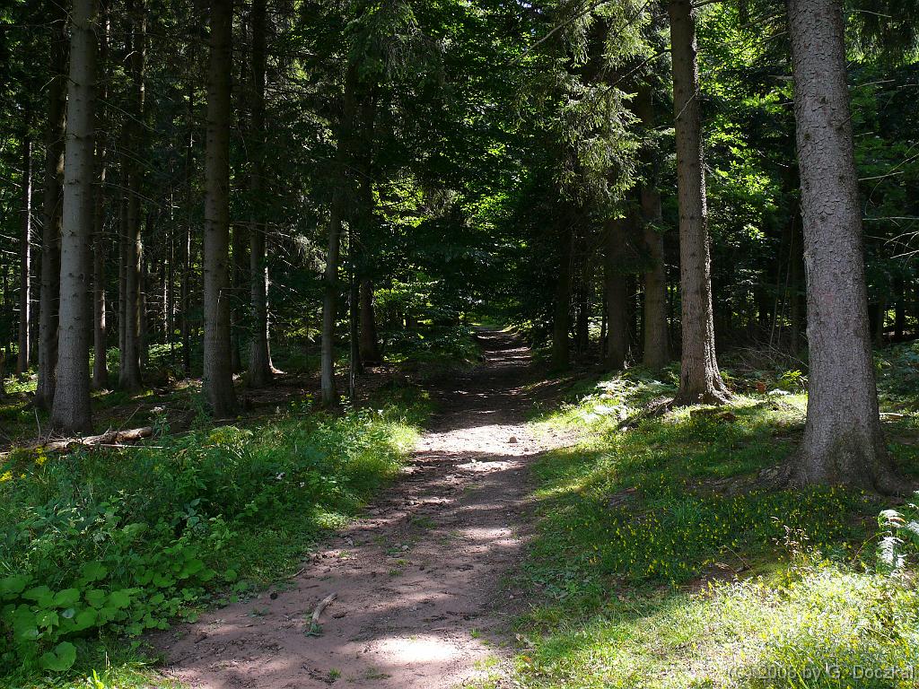20080806-122451-59