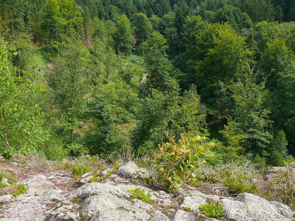 20080806-152743-101
