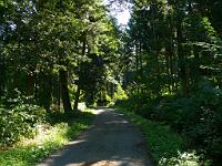  (C) 2008 by G. Doczkal, 
Hier geht's lang, 
Schwann bei Loffenau, Baden-Württemberg, Germany