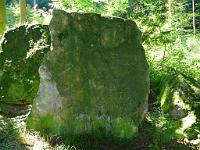  (C) 2008 by G. Doczkal, 
Felsen, 
Schwann bei Loffenau, Baden-Württemberg, Germany