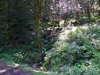  (C) 2008 by G. Doczkal, 
Wässerle, 
Schwann bei Loffenau, Baden-Württemberg, Germany