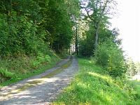  (C) 2008 by G. Doczkal, 
Und weiter bergauf, 
Schwann bei Loffenau, Baden-Württemberg, Germany