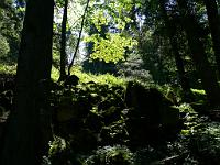  (C) 2008 by G. Doczkal, 
Licht und Schatten, 
Schwann bei Loffenau, Baden-Württemberg, Germany