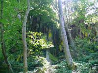  (C) 2008 by G. Doczkal, 
Die Dachsfelsen, 
Illert bei Loffenau, Baden-Württemberg, Germany