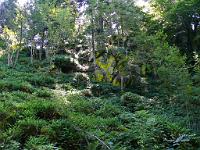  (C) 2008 by G. Doczkal, 
Die Dachsfelsen, 
Illert bei Loffenau, Baden-Württemberg, Germany