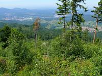  (C) 2008 by G. Doczkal, 
Blick zurück, 
Teufelsmühle bei Loffenau, Baden-Württemberg, Germany