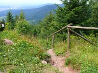  (C) 2008 by G. Doczkal, 
Da geht's runter, 
Grenzertkopf bei Loffenau, Baden-Württemberg, Germany