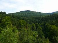  (C) 2008 by G. Doczkal, 
Der Grenzertkopf, 
Bockstein bei Loffenau, Baden-Württemberg, Germany