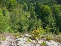  (C) 2008 by G. Doczkal, 
Blick vom Bockstein, 
Bockstein bei Loffenau, Baden-Württemberg, Germany