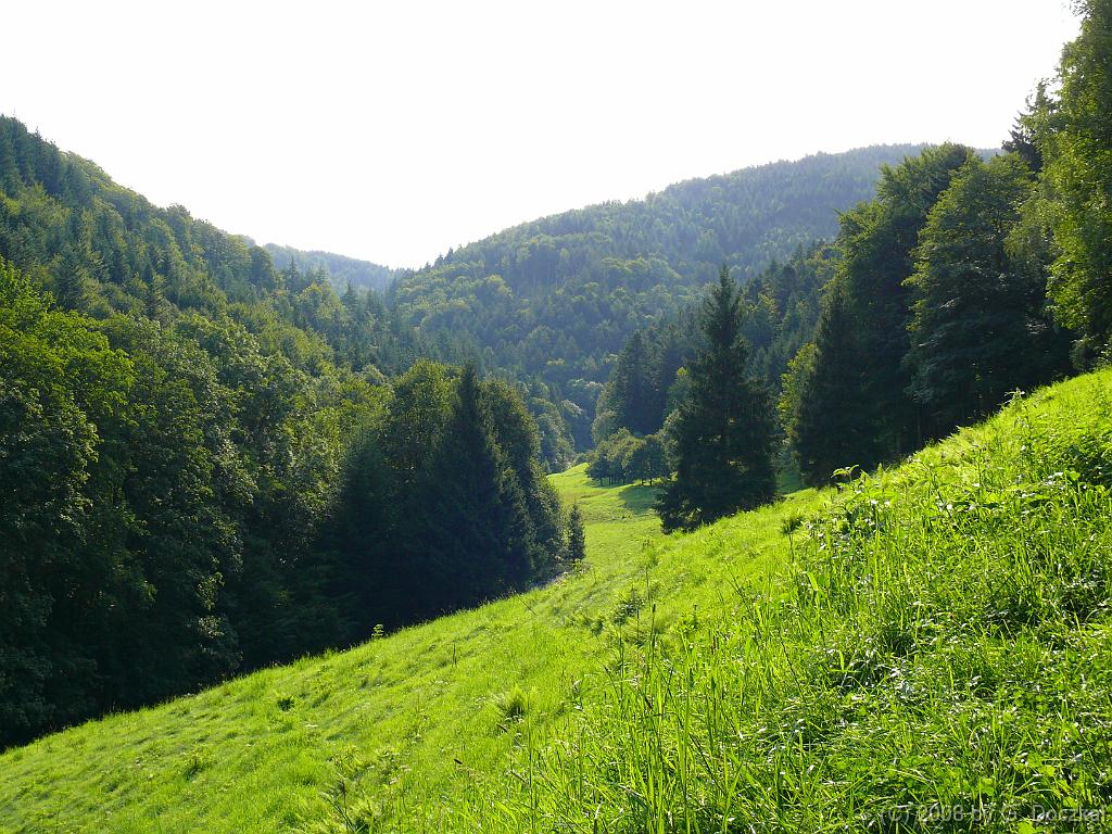 20080821-101221-7