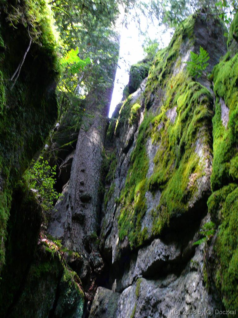 20080821-104515-69