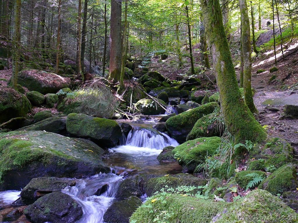 20080821-104730-72
