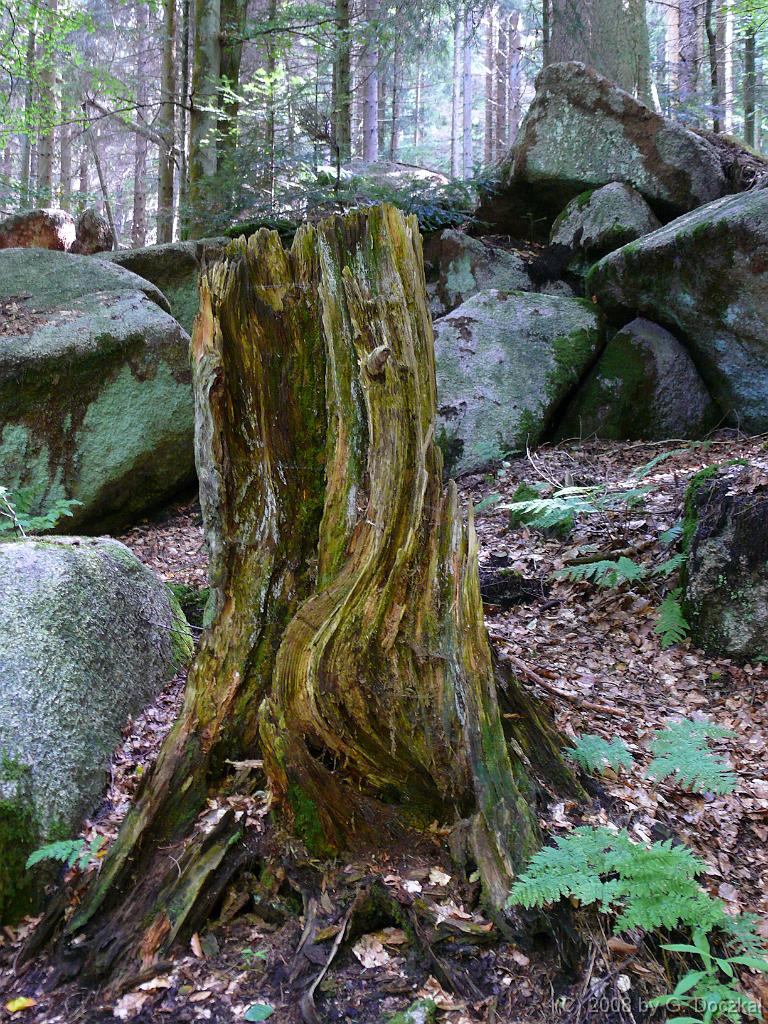 20080821-111354-170
