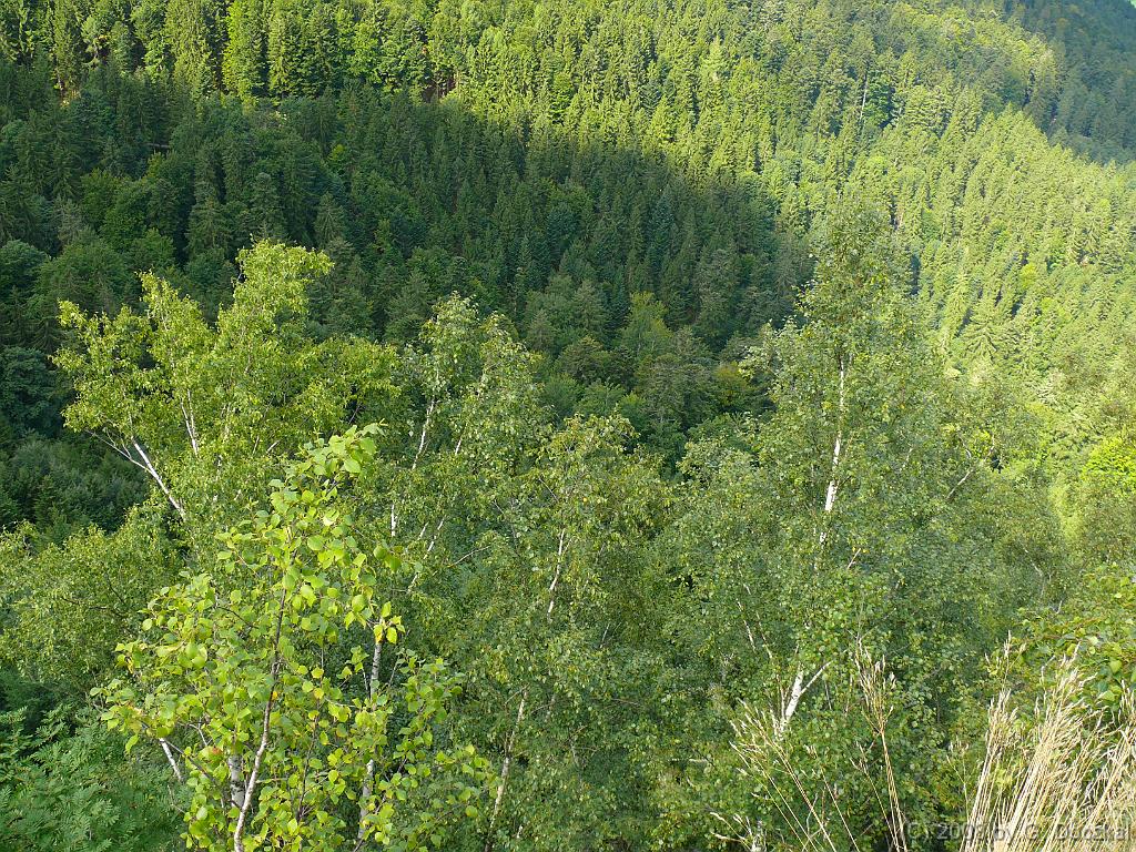 20080821-112521-187