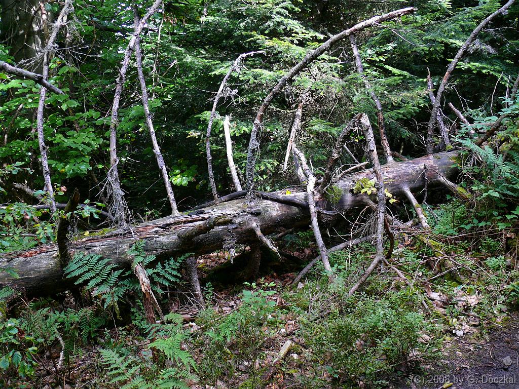 20080821-141804-226