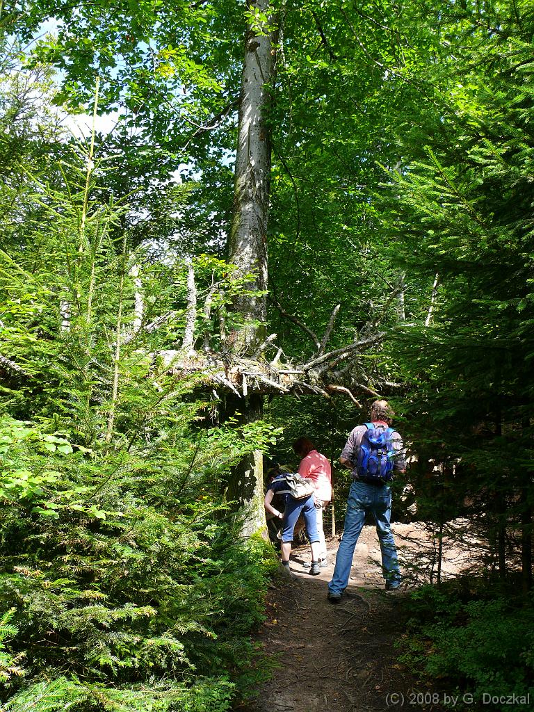 20080821-143504-259