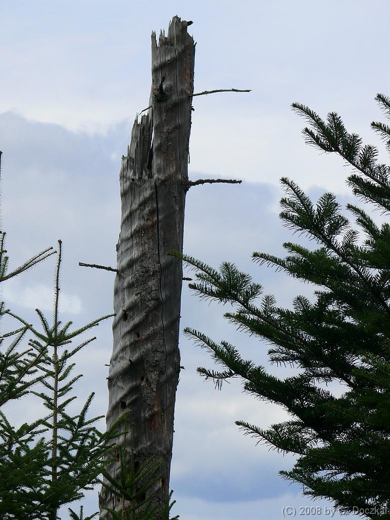 20080821-152512-272
