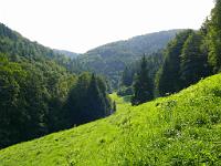  (C) 2008 by G. Doczkal, 
Blick ins Wiedenbachtal, 
Wiedenbachtal bei Bühlertal, Baden-Württemberg, Germany