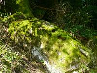  (C) 2008 by G. Doczkal, 
Felsen, 
Wiedenbachtal bei Bühlertal, Baden-Württemberg, Germany