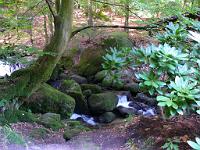  (C) 2008 by G. Doczkal, 
Stromschnellen, 
Gertelbachtal bei Sand, Baden-Württemberg, Germany