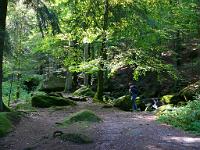  (C) 2008 by G. Doczkal, 
Blick ins Gertelbachtal, 
Gertelbachtal bei Sand, Baden-Württemberg, Germany