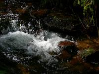  (C) 2008 by G. Doczkal, 
Stromschnellen, 
Gertelbachtal bei Sand, Baden-Württemberg, Germany