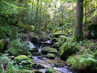  (C) 2008 by G. Doczkal, 
Das Gertelbachtal, 
Gertelbachtal bei Sand, Baden-Württemberg, Germany