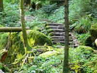  (C) 2008 by G. Doczkal, 
Der Weg, 
Gertelbachtal bei Sand, Baden-Württemberg, Germany