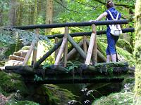  (C) 2008 by G. Doczkal, 
Kurz verschnaufen, 
Gertelbachtal bei Sand, Baden-Württemberg, Germany