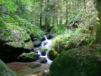 (C) 2008 by G. Doczkal, 
Das Gertelbachtal, 
Gertelbachtal bei Sand, Baden-Württemberg, Germany