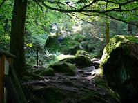  (C) 2008 by G. Doczkal, 
Das Gertelbachtal, 
Gertelbachtal bei Sand, Baden-Württemberg, Germany