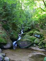  (C) 2008 by G. Doczkal, 
Das Gertelbachtal, 
Gertelbachtal bei Sand, Baden-Württemberg, Germany